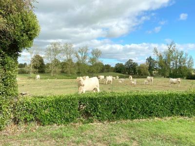 Location Maison 6 pièces AUBIGNY 85430