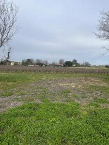 Vente Terrain SAINT-GERMAIN-DU-PUCH 33750