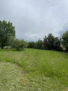 Vente Terrain SAINT-MARTIN-DU-BOIS 33910