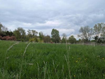 Vente Terrain MARCILLY-LE-CHATEL 42130