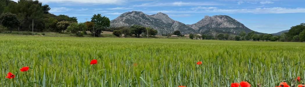 Vente Terrain COLLIAS 30210
