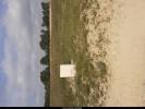 Annonce Vente Maison Nesmy