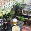Apartment CHARENTON-LE-PONT 