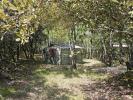 For sale House Tavernes  83670 15 m2
