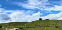 Annonce Vente Terrain