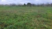 Annonce Vente Terrain