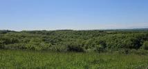For sale Land Ordan-larroque 32350 2252 m2
