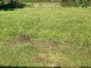For sale Land Moustey 40410 1387 m2