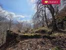 Annonce Vente Terrain Viscos