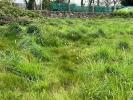 Acheter Terrain 534 m2 Brignogan-plage