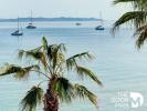 For sale Commerce Lavandou 83980 328 m2