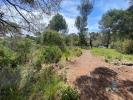 Apartment FREJUS 