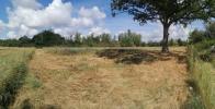 Annonce Vente Terrain Saint-benoit-sur-loire