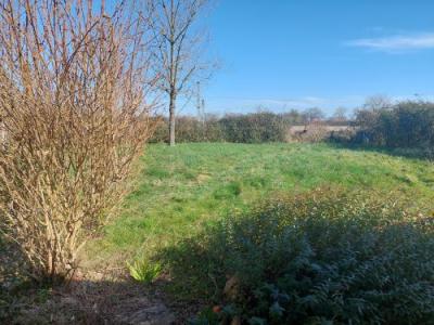 Vente Maison NERONDES 