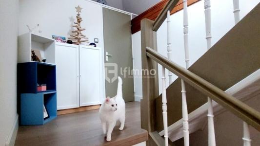 Vente Appartement LINGOLSHEIM 