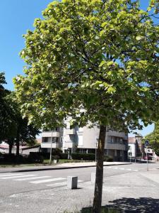 Location Appartement 3 pièces HERICOURT 70400