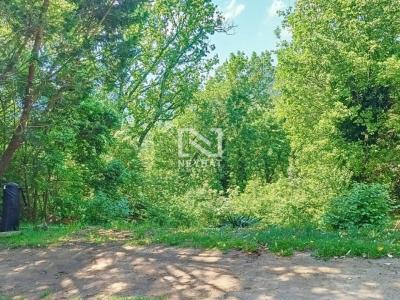 Vente Maison BAGNOLS-EN-FORET 