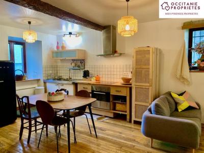 Vente Appartement MASSAT 