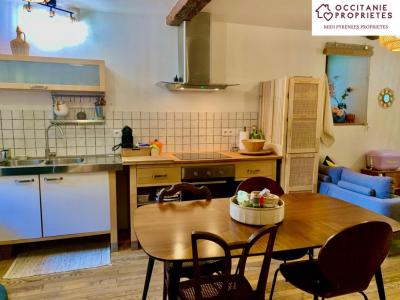 Vente Appartement MASSAT