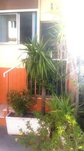 photo For rent Apartment VALLAURIS 06