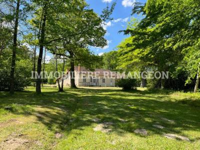 photo For sale Prestigious house YVOY-LE-MARRON 41