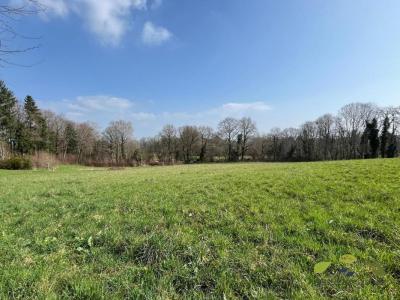 photo For sale Land ROYERES 87