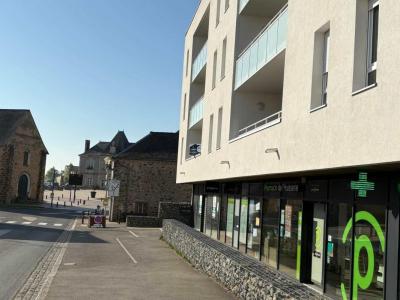Location Appartement 3 pièces HUISSERIE 53970