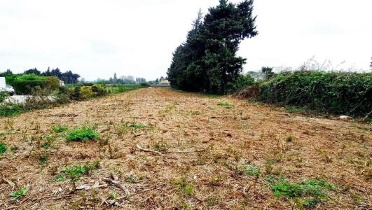 Vente Terrain JONQUERETTES  84