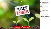 Vente Terrain Sainte-clotilde 974