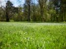 Vente Terrain Cugnaux 31