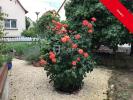 Vente Maison Eckbolsheim 67