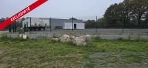 Vente Terrain Saint-fulgent 85