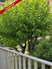 Annonce Vente 6 pièces Maison Mans
