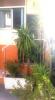 Apartment VALLAURIS 