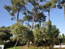 House ARCACHON 