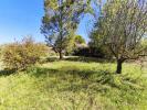 Land MAZAN 