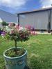 Annonce Vente 5 pièces Maison Saint-benoit
