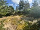Annonce Vente 7 pièces Maison Neufchatel-hardelot