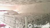 Louer Appartement Puteaux 900 euros