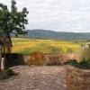 Annonce Vente Prestige Zellenberg
