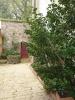 Annonce Vente 8 pièces Maison Cholet