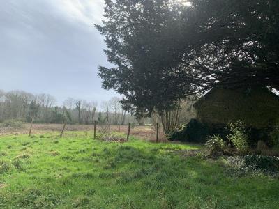 photo For sale House PLUVIGNER 56