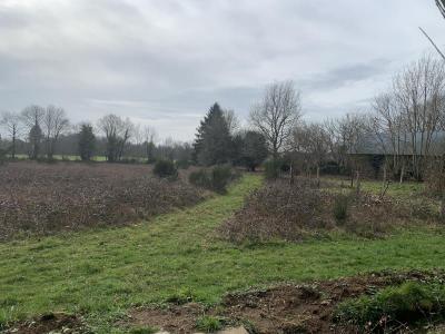 Vente Maison PLUVIGNER 