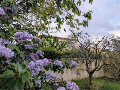 photo For sale House PERTUIS 84