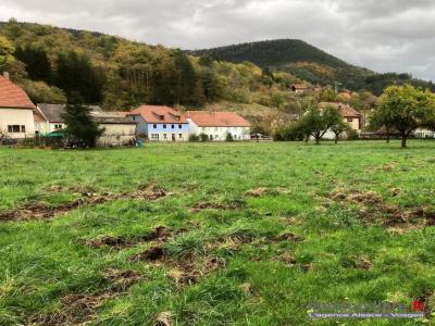 photo For sale Land ROMBACH-LE-FRANC 68