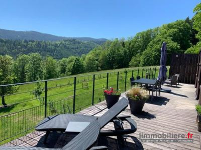 Vente Maison 15 pièces STRASBOURG 67000