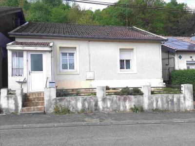 photo For sale House LONGUYON 54