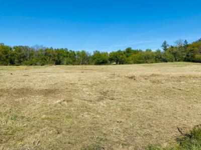 For sale Land CURSAN  33