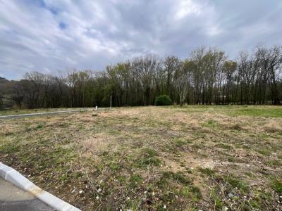 photo For sale Land BONNETAN 33