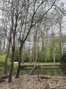 For sale House CHERISY 